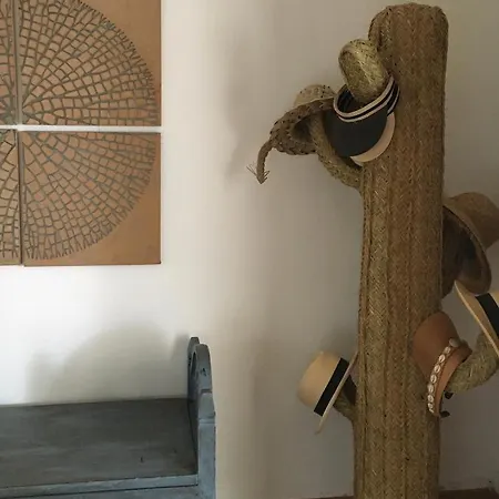 Por La Zona De Cabo De Gata Homestay