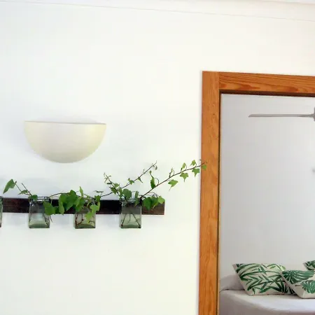 Homestay Por La Zona De Cabo De Gata Antas